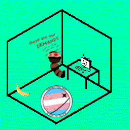 Current Ditzi room but something has gone wrong