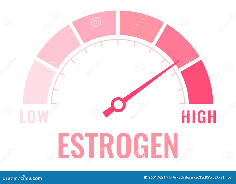 File:Estrogen image.png