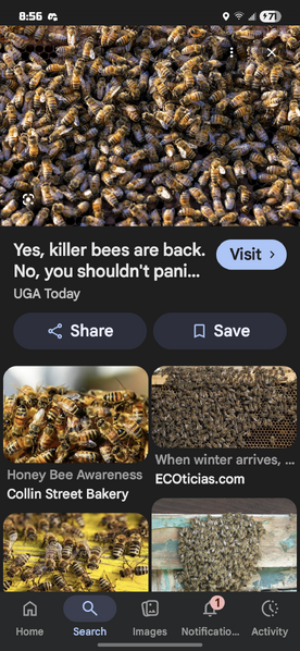 File:Screenshot 20260315 205619 Google.png