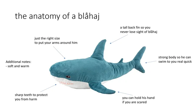 File:Blåhaj Anatomy.webp